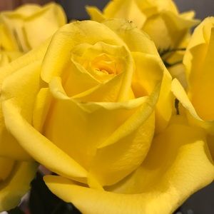 Meet your Posher, Ronette